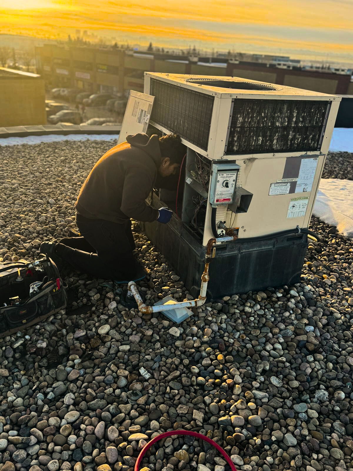 66c6a500-1299-49e1-ad10-d79ceb61a180