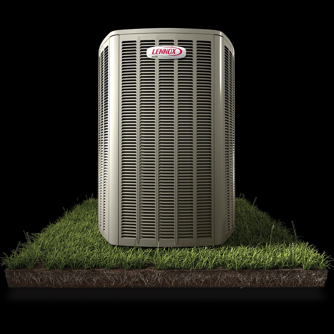 WhatsApp-Image-2024-12-16-at-9.43.48-AM-3-1